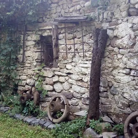 Zen Garden