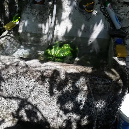 Zen Garden 公寓 *